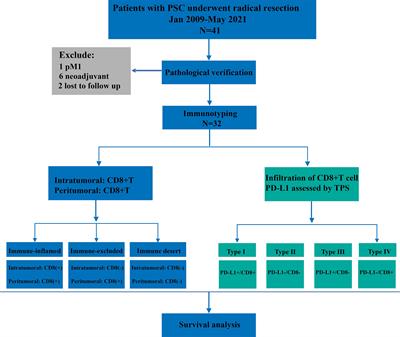 Immunophenotyping of pulmonary sarcomatoid carcinoma